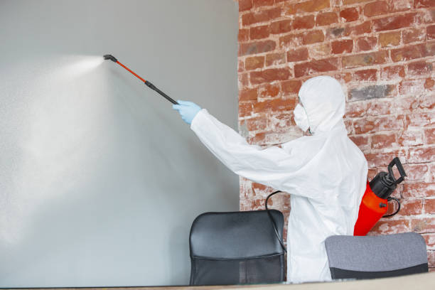 Best Water Damage & Mold Remediation  in Hoopa, CA