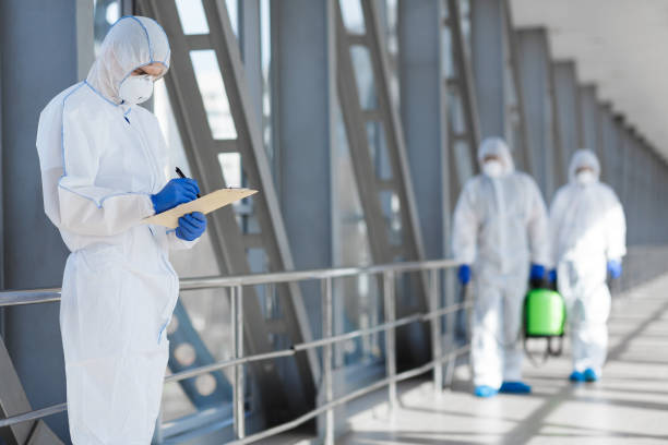 Best Environmental Consulting for Mold Prevention  in Hoopa, CA