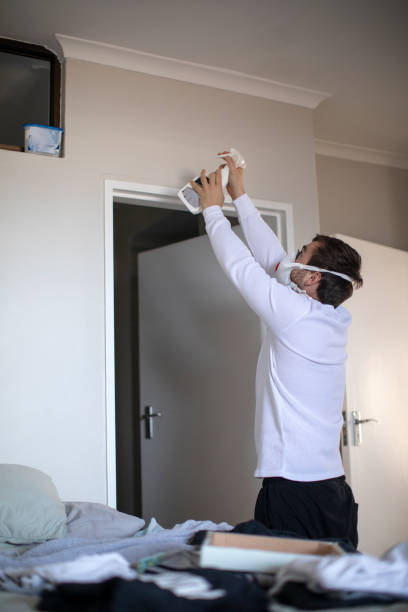 Best Mold Damage Restoration  in Hoopa, CA