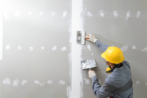 Mold Remediation for Vacation Homes in Hoopa, CA