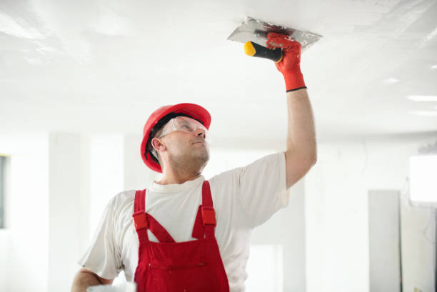 Best Residential Mold Inspection & Testing  in Hoopa, CA