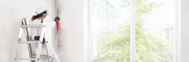 Mold Remediation for Rental Properties in Hoopa, CA