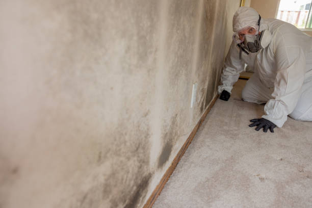 Best Industrial Mold Remediation  in Hoopa, CA
